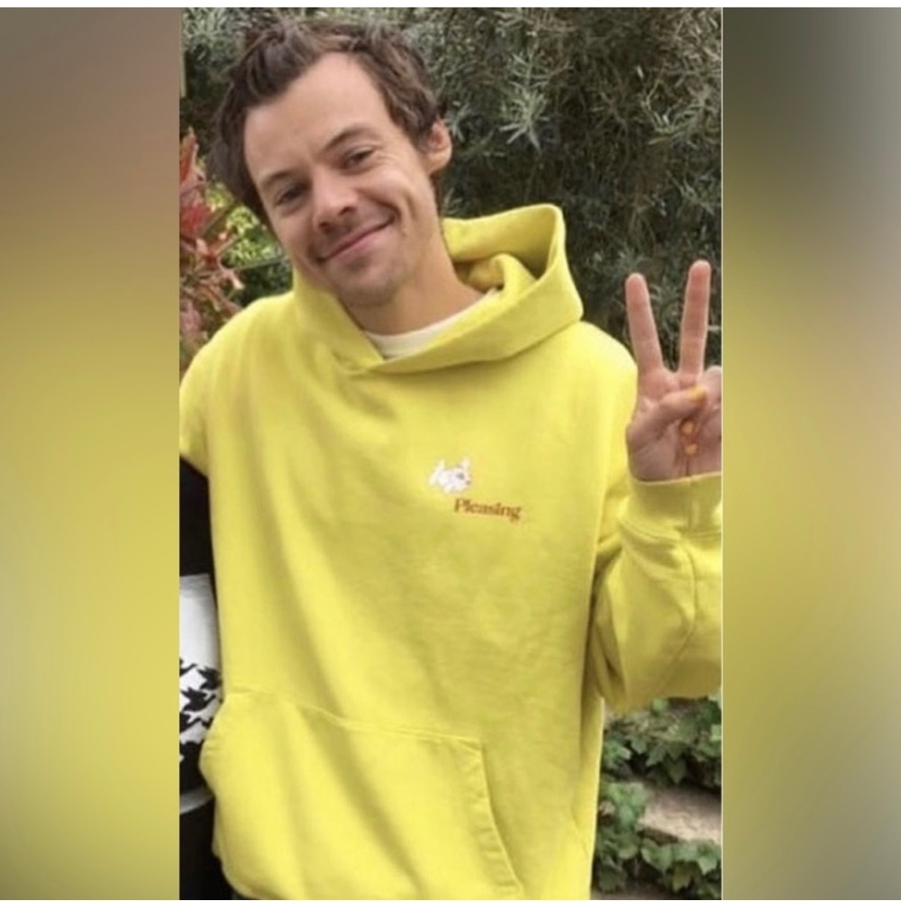 Pleasing By Harry Styles Coachella